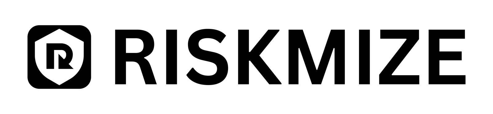RiskMize Logo